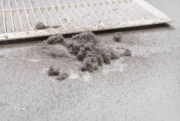 Best Professional Duct Cleaning Services  in Conrad, IA